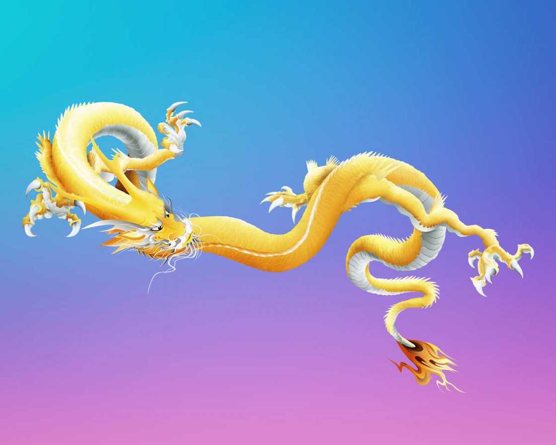 Different types of dragons Different types of dragons
