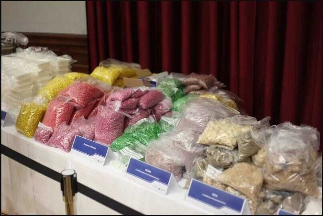 Shiny Flakes : que devient Maximilian Schmidt, le jeune baron de la drogue ! Shiny Flakes : que devient Maximilian Schmidt, le jeune baron de la drogue !