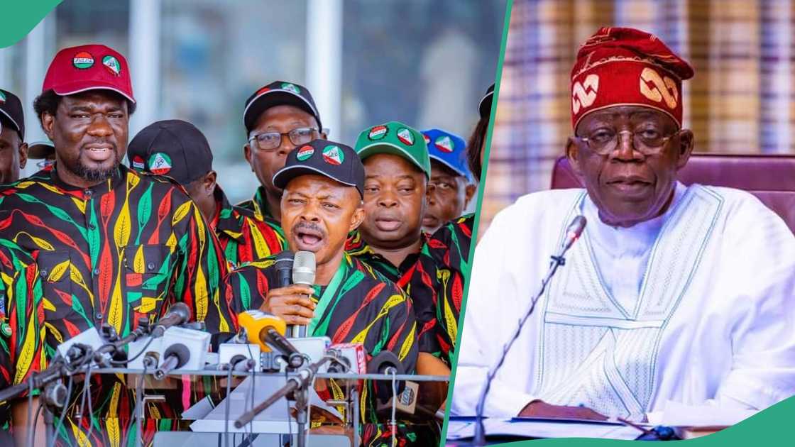 Breakdown of salary structure for civil servants has emerged Breakdown of salary structure for civil servants has emerged