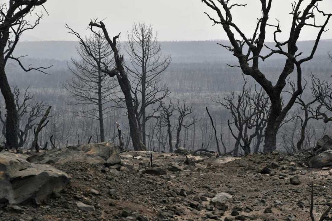 Climate scientists have repeatedly warned that man-made global warming will bring more extreme weather events Climate scientists have repeatedly warned that man-made global warming will bring more extreme weather events