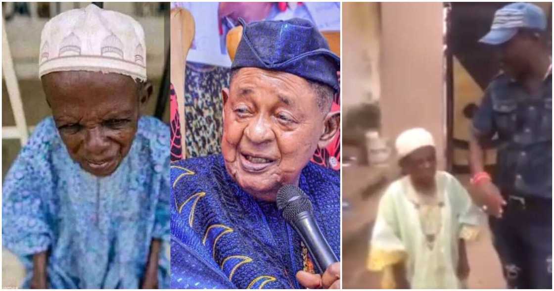 Meet Baba Keji Meet Baba Keji