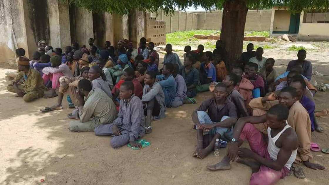 Military says another 1,081 Boko Haram terrorists have surrendered. Military says another 1,081 Boko Haram terrorists have surrendered.