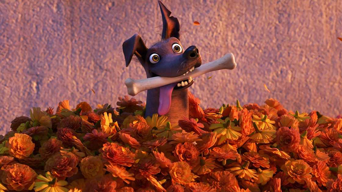 An illustration of Dante, the Xoloitzcuintle dog from Disney and Pixar's animated film Coco An illustration of Dante, the Xoloitzcuintle dog from Disney and Pixar's animated film Coco
