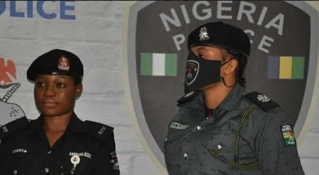 Yan sanda da aka dakatar Yan sanda da aka dakatar