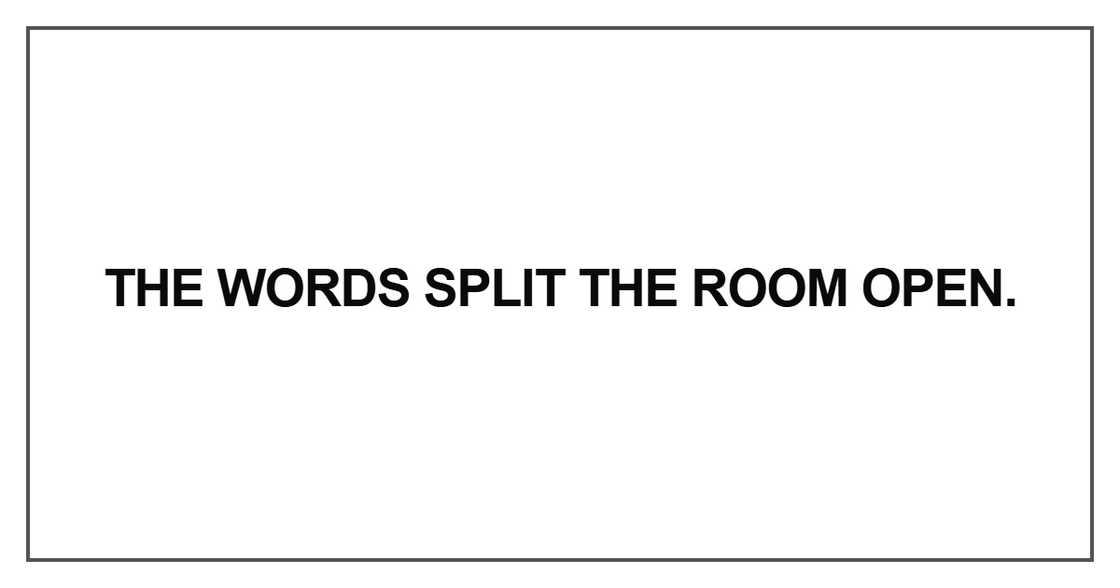 The words split the room open