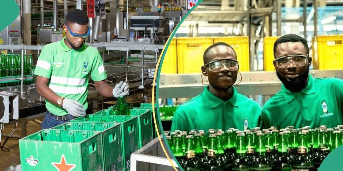 Nigerian graduates to apply for Nigerian Breweries global programme Nigerian graduates to apply for Nigerian Breweries global programme