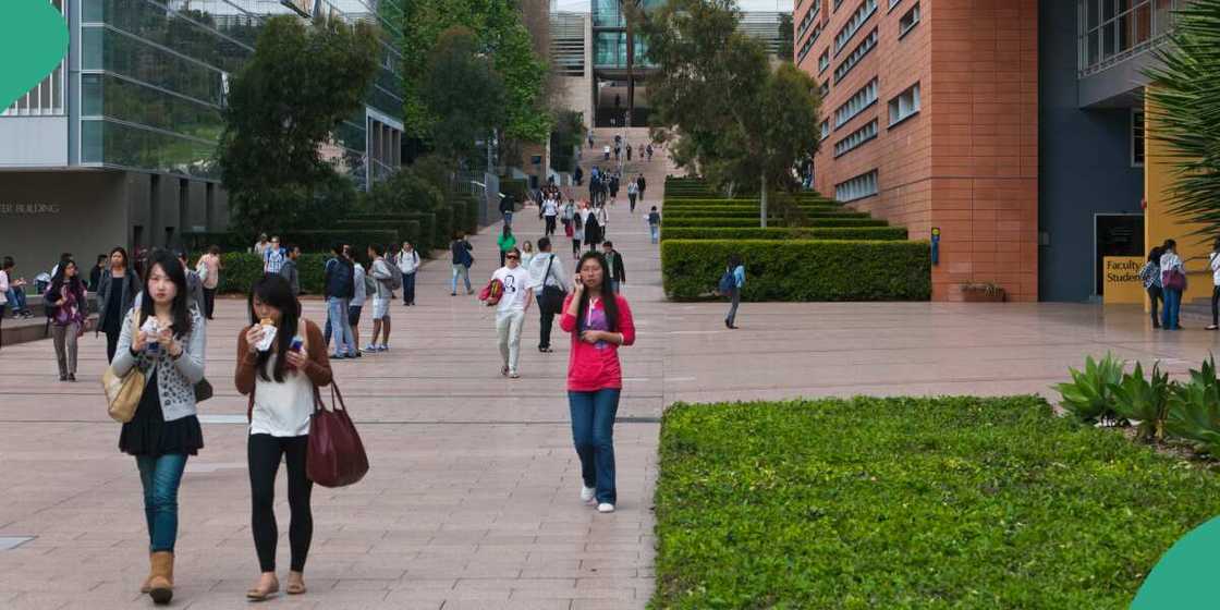Researcher lists 14 Australian universities with scholarships for Nigerians Researcher lists 14 Australian universities with scholarships for Nigerians