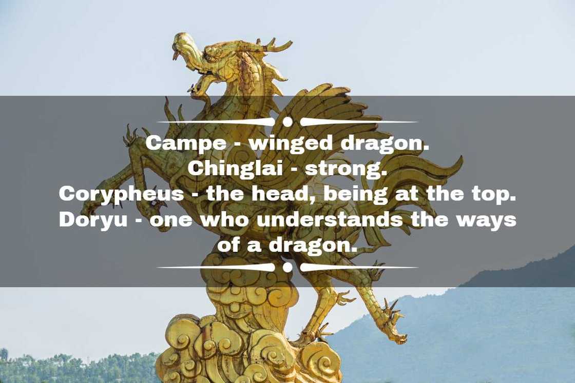 Amazing dragon names Amazing dragon names
