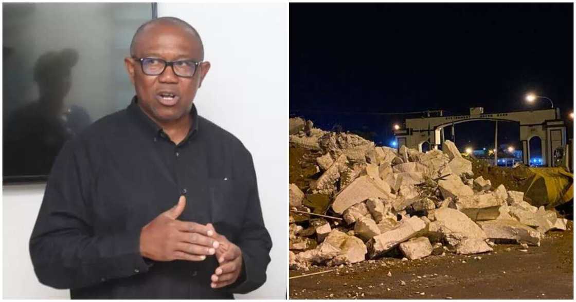 Kano state news/Kano state news today/Peter Obi/Peter Obi news Kano state news/Kano state news today/Peter Obi/Peter Obi news