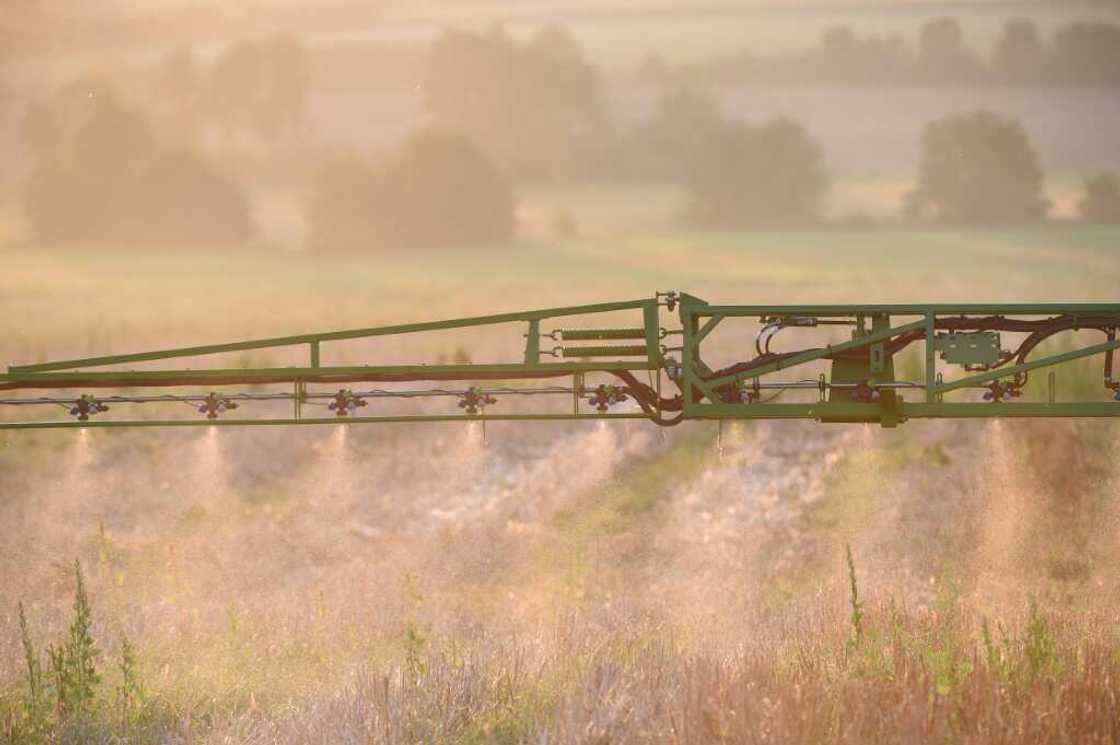 The use of glyphosate is limited and even banned in several countries around the world The use of glyphosate is limited and even banned in several countries around the world