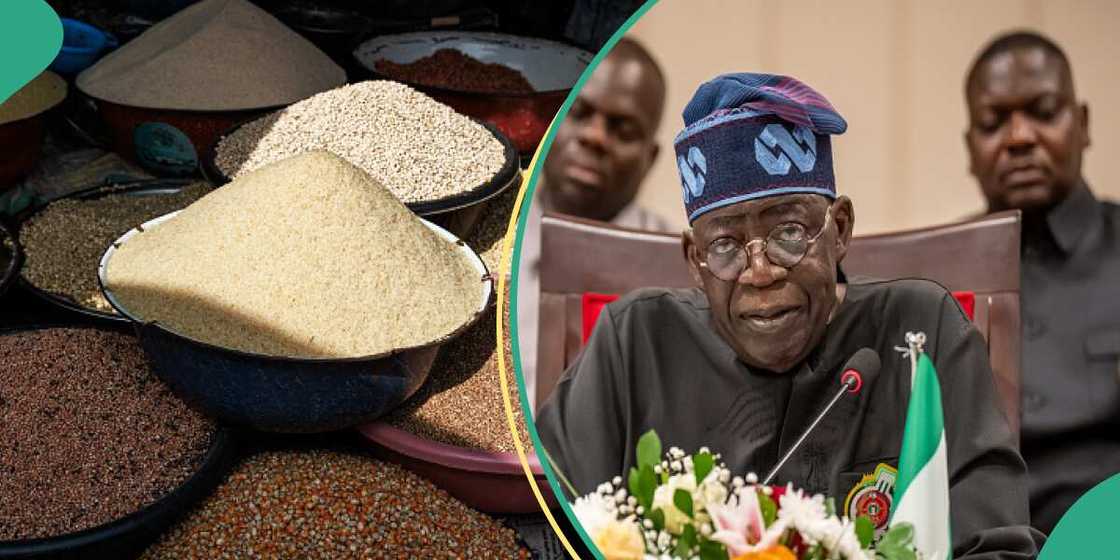 Masara da Shinkafa Masara da Shinkafa