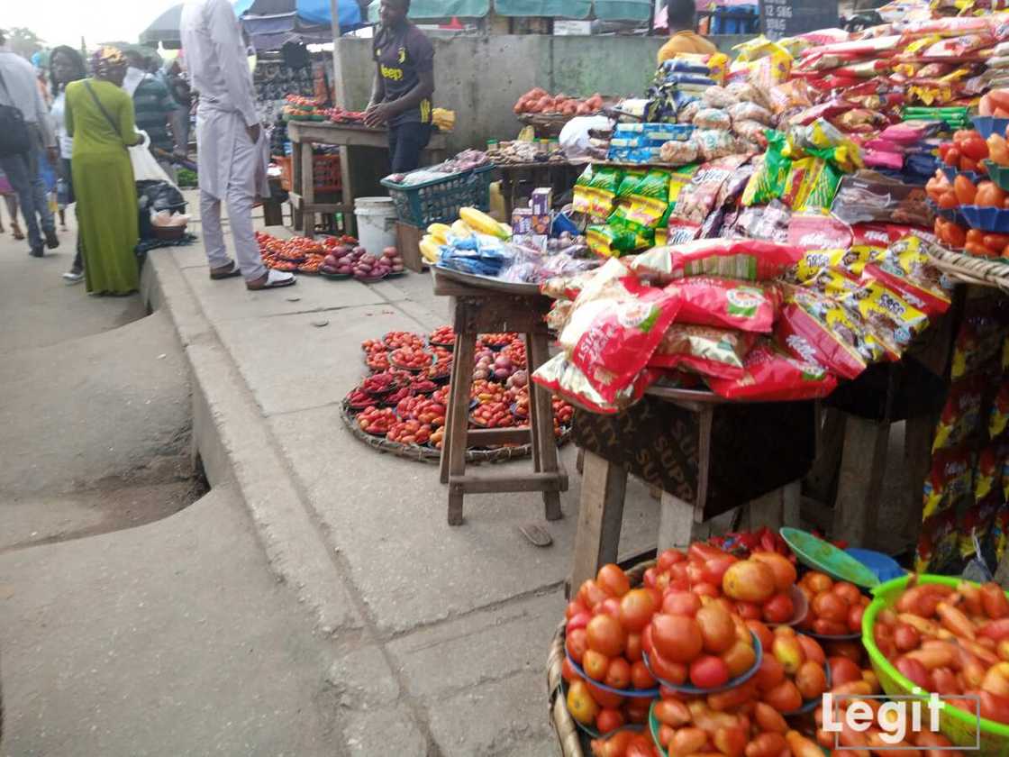 At the market, the Hausa/Benue tomato is scarce while the watery tomatoes, from the southwest, is available but expensive. Photo credit: Esther Odili At the market, the Hausa/Benue tomato is scarce while the watery tomatoes, from the southwest, is available but expensive. Photo credit: Esther Odili