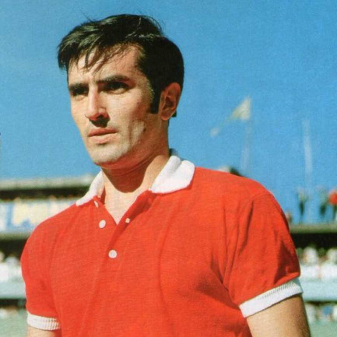 quickest hat trick in soccer history quickest hat trick in soccer history