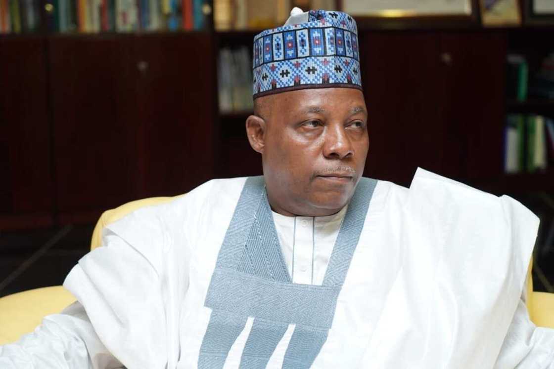 APC, Bola Tinubu, Kashim Shettima, Former Governor, Borno State, 2023 elections, APC Presidency