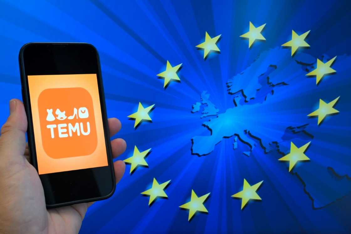 E-commerce platform Temu has 93.7 million average monthly active users in the European Union E-commerce platform Temu has 93.7 million average monthly active users in the European Union