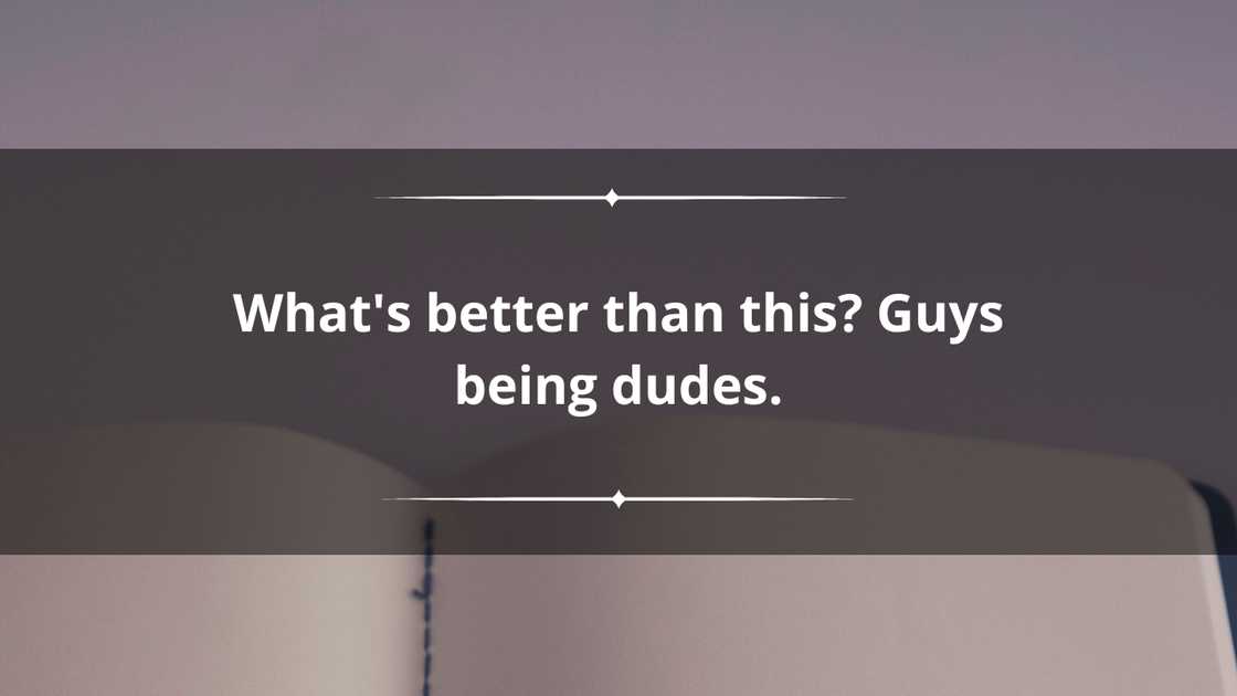 list of vines quotes list of vines quotes