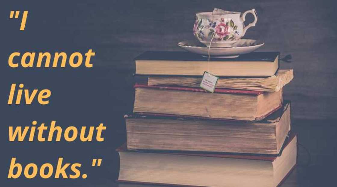 Thomas Jefferson quotes on education Thomas Jefferson quotes on education