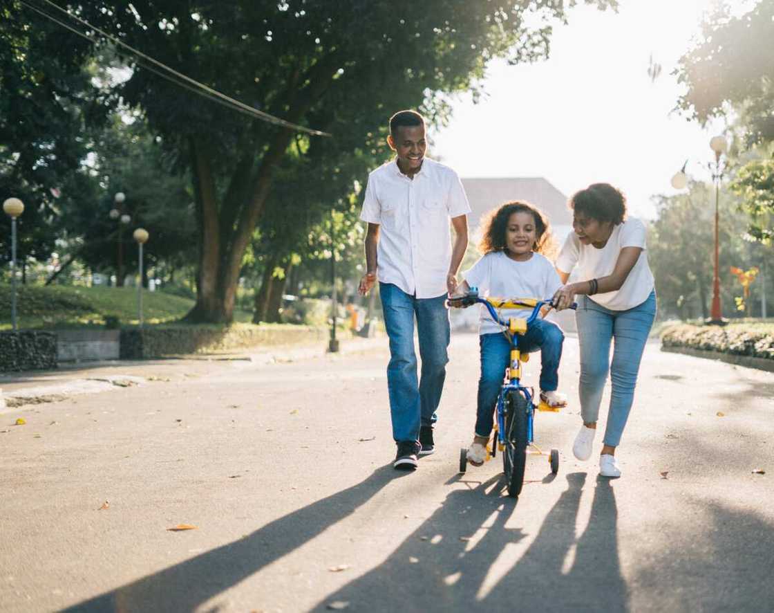 What types of family are there? What types of family are there?