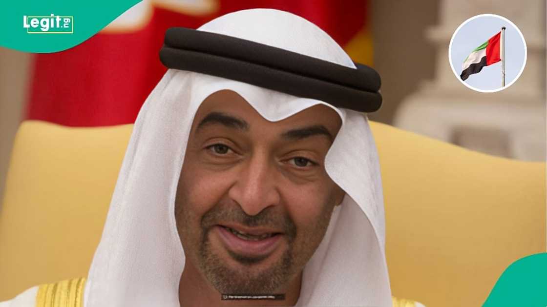 UAE reveals salary requirement for workers in 9 professional levels