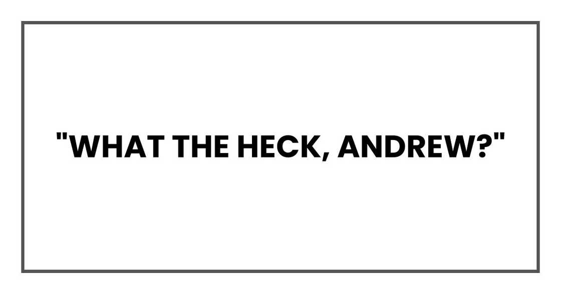 "What the heck, Andrew?"