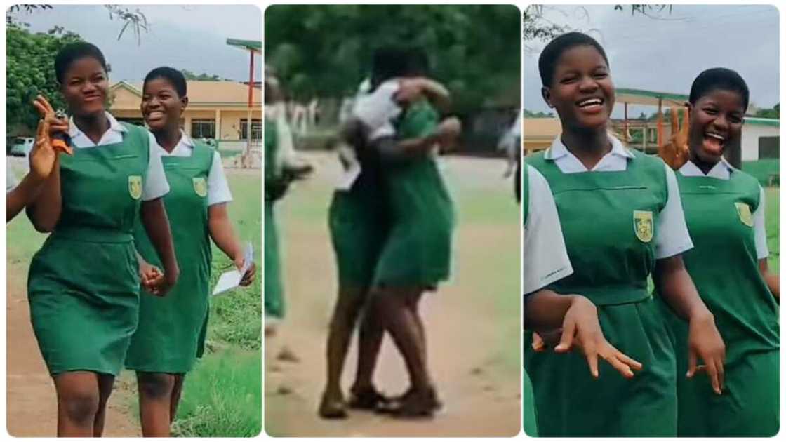 Photo of the twin sisters Photo of the twin sisters