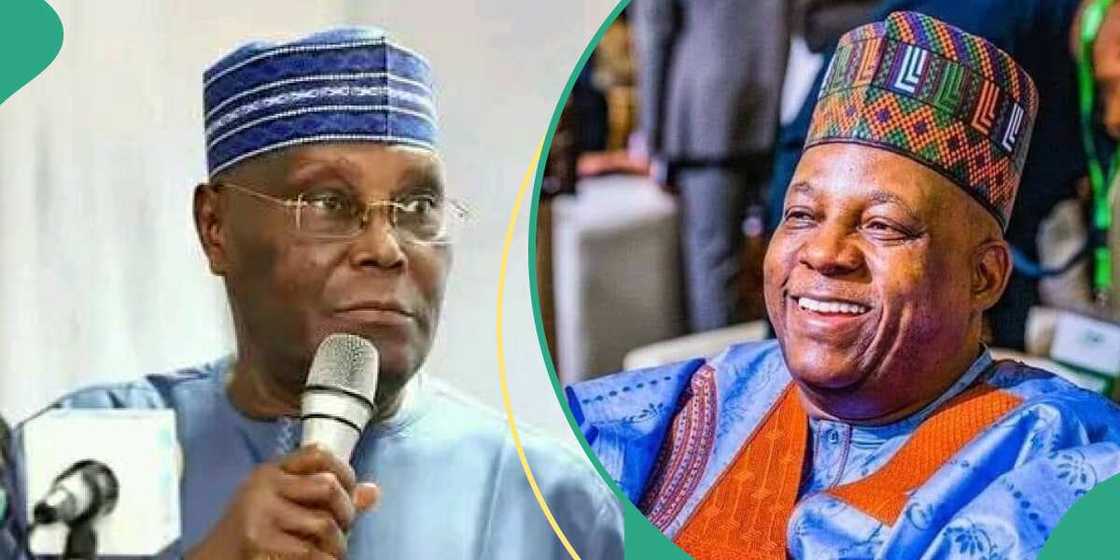 Shettima says Tinubu revived Atiku's political career