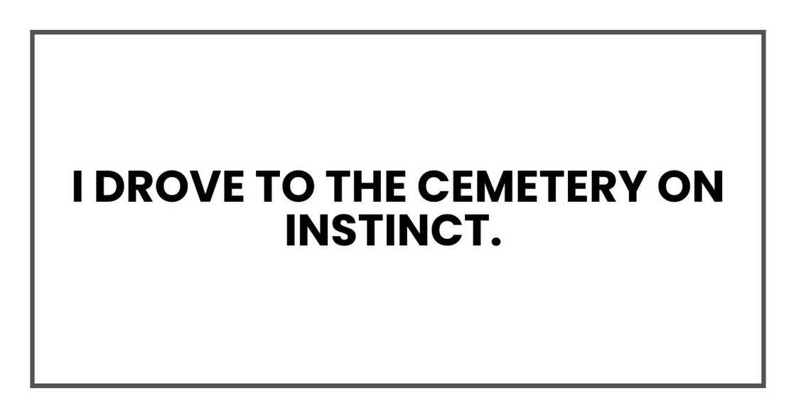 I drove to the cemetery on instinct.