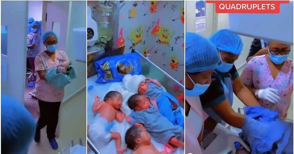 Quadruplets, mum gives birth to four babies, melt hearts Quadruplets, mum gives birth to four babies, melt hearts