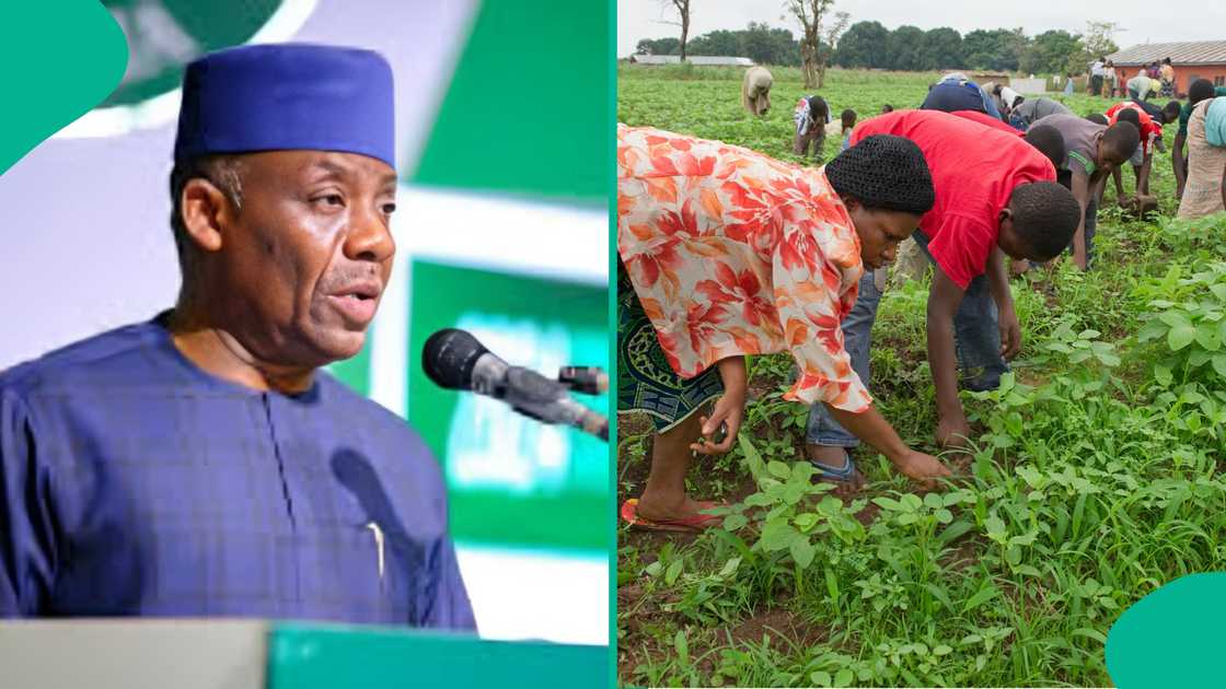 Candidates apply for NCE programmes without UTME, following new Ministry of Education guidelines. Candidates apply for NCE programmes without UTME, following new Ministry of Education guidelines.