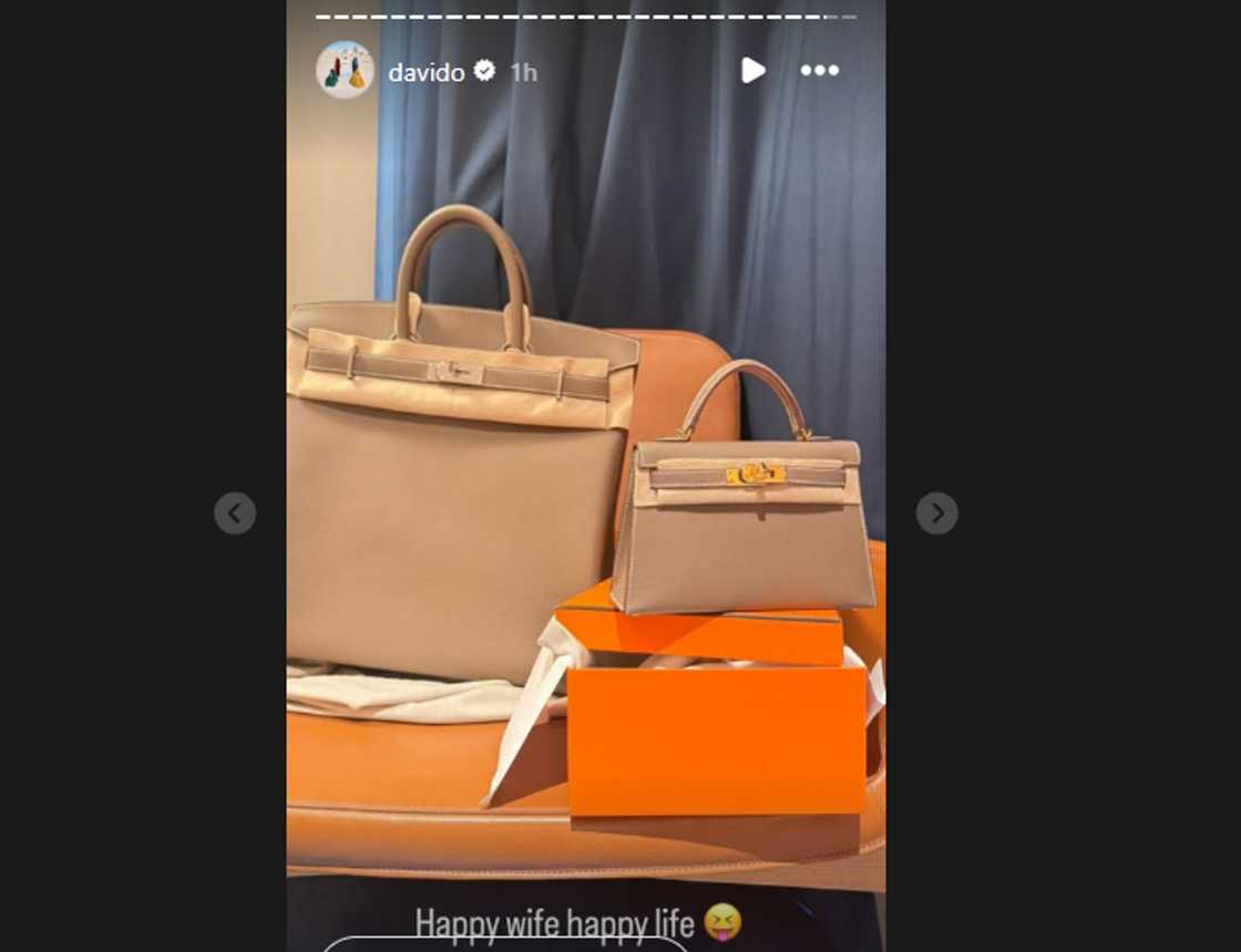 Davido buys Hermes Birkin bags for himself and Chioma.