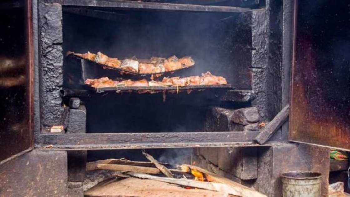 Gashin Kifi Gashin Kifi