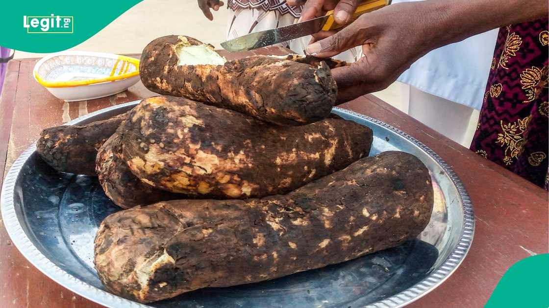 Legit.ng dives into the history of New Yam Festival in the Igbo land