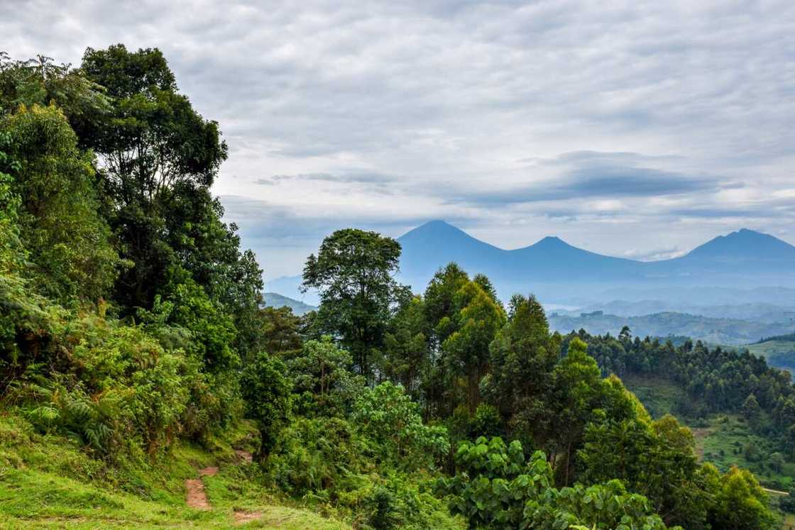 best country in Africa best country in Africa