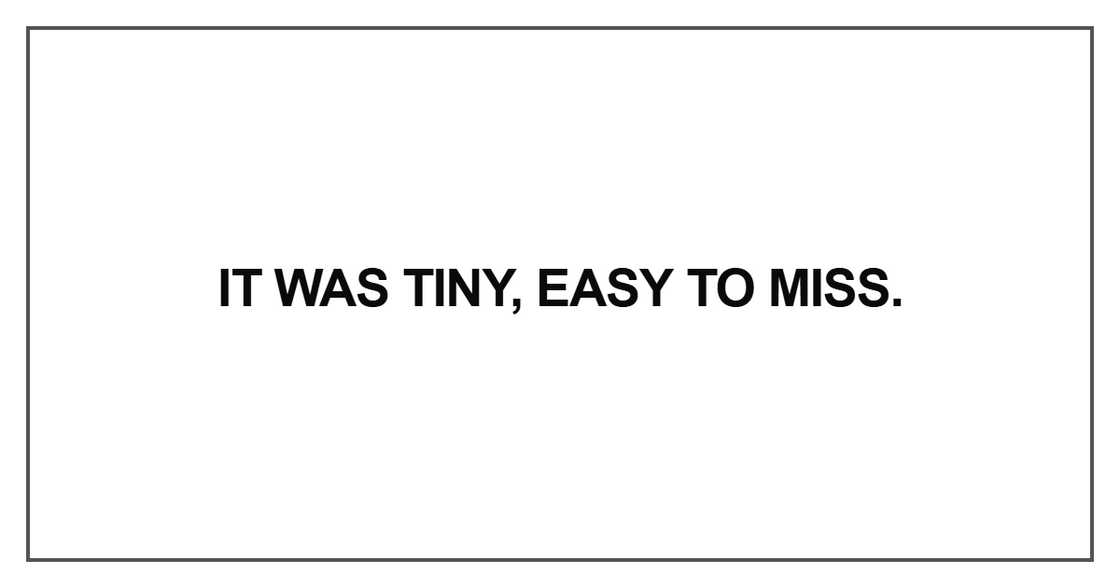It was tiny, easy to miss It was tiny, easy to miss