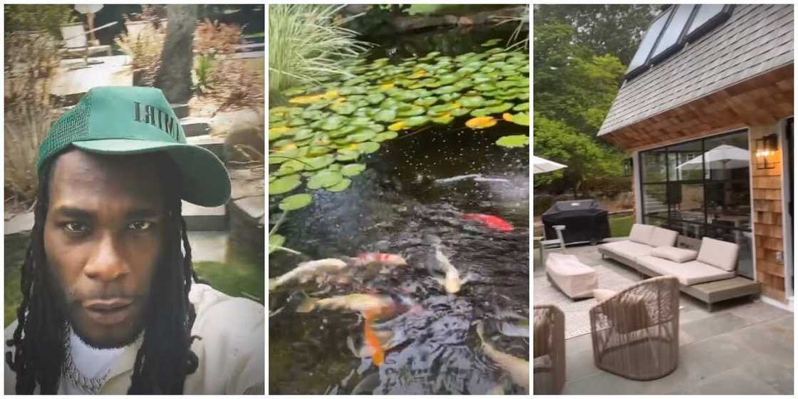 Photos of Burna Boy and screenshot of the house. Photos of Burna Boy and screenshot of the house.
