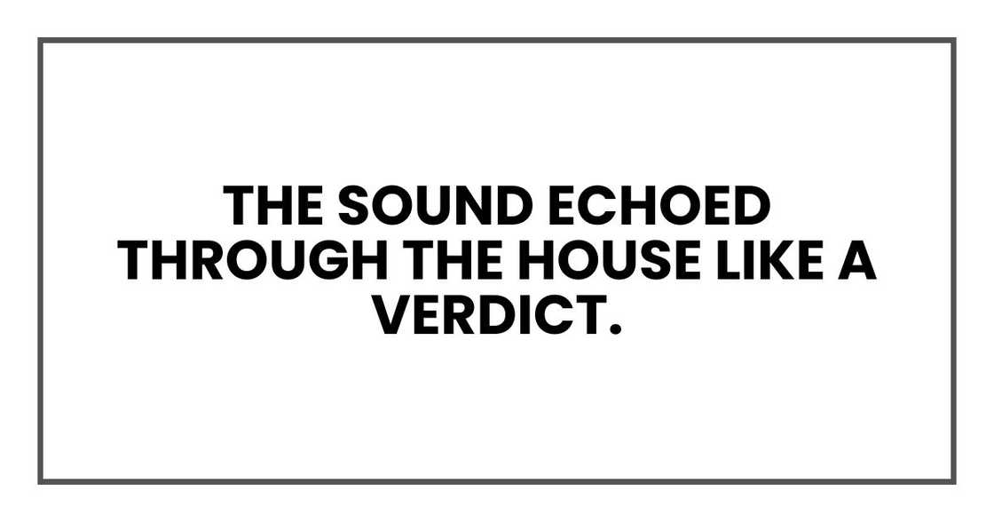 The sound echoed through the house like a verdict. The sound echoed through the house like a verdict.