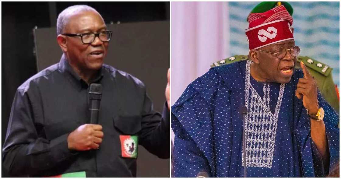 Tribunal reserves judgement In Obi’s petition challenging Tinubu's victory/ Tribunal Reserves Judgement In Obi’s petition seeking the sack of Tinubu Tribunal reserves judgement In Obi’s petition challenging Tinubu's victory/ Tribunal Reserves Judgement In Obi’s petition seeking the sack of Tinubu