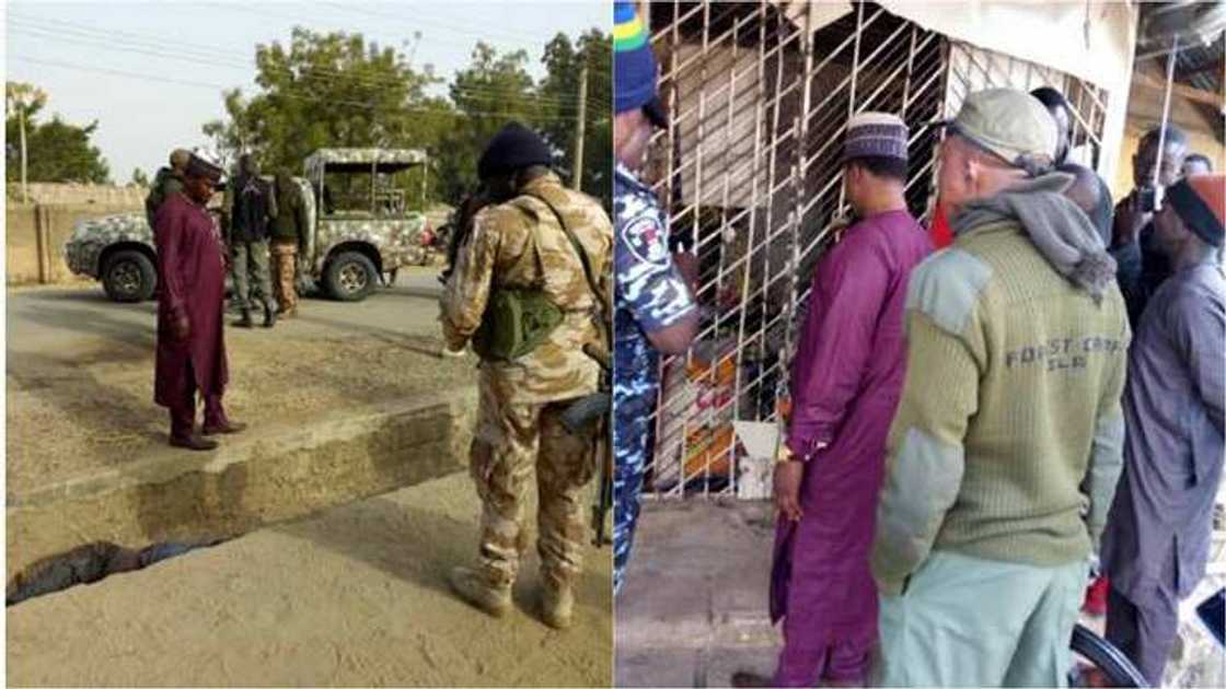 Kalli barnar da dakarun Sojojin Najeriya suka tafka ma Boko Haram a Adamawa Kalli barnar da dakarun Sojojin Najeriya suka tafka ma Boko Haram a Adamawa