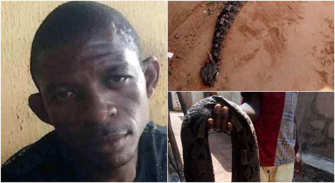 Man bitten by snake dies after being taken to herbalist in Umuahia (photos) Man bitten by snake dies after being taken to herbalist in Umuahia (photos)