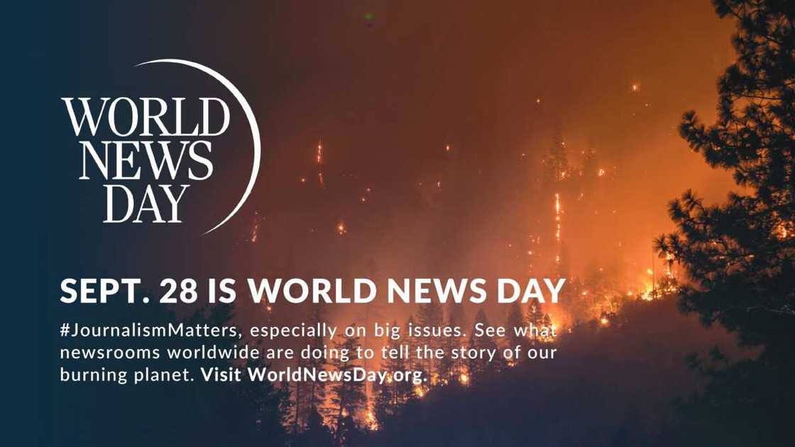 World News Day: Legit.ng Joins Other Top-Class Publications to Highlight Climate Change Crisis World News Day: Legit.ng Joins Other Top-Class Publications to Highlight Climate Change Crisis
