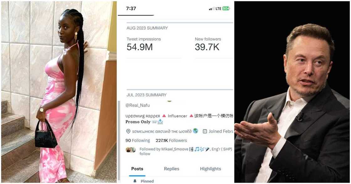 Elon Musk, Twitter, Nigerian lady Elon Musk, Twitter, Nigerian lady