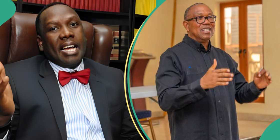 Daniel Bwala says Peter Obi yet to recover from defeat Daniel Bwala says Peter Obi yet to recover from defeat