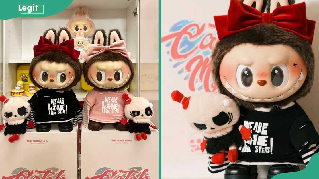 Labubu Catch Me If You Like Me Labubu Catch Me If You Like Me