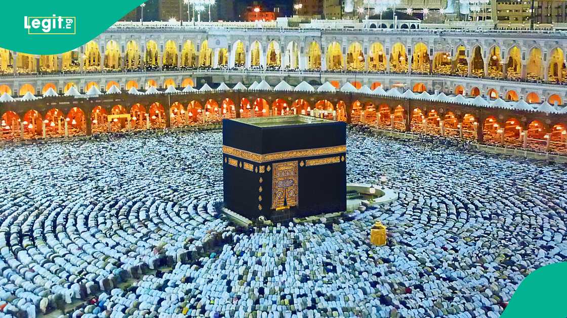 Pilgrims access Umrah permits through the Nusuk application, the Kingdom’s unified digital gateway. Pilgrims access Umrah permits through the Nusuk application, the Kingdom’s unified digital gateway.