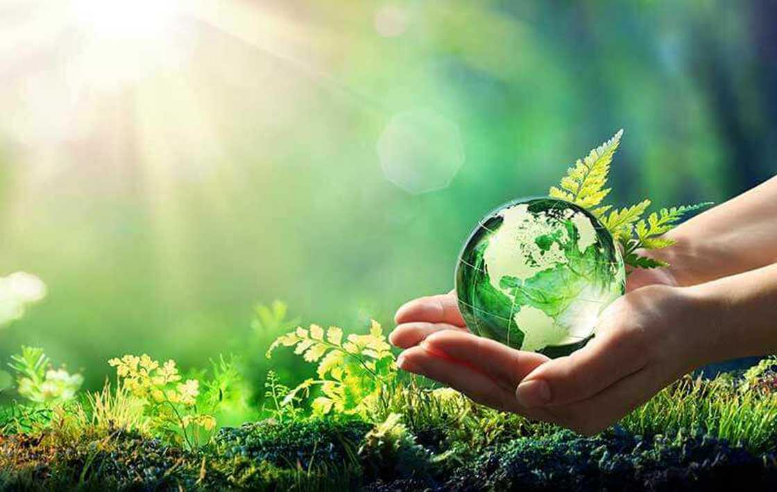 The Role of Corporate Nigeria in Driving Sustainability by Benedict Elujoba The Role of Corporate Nigeria in Driving Sustainability by Benedict Elujoba