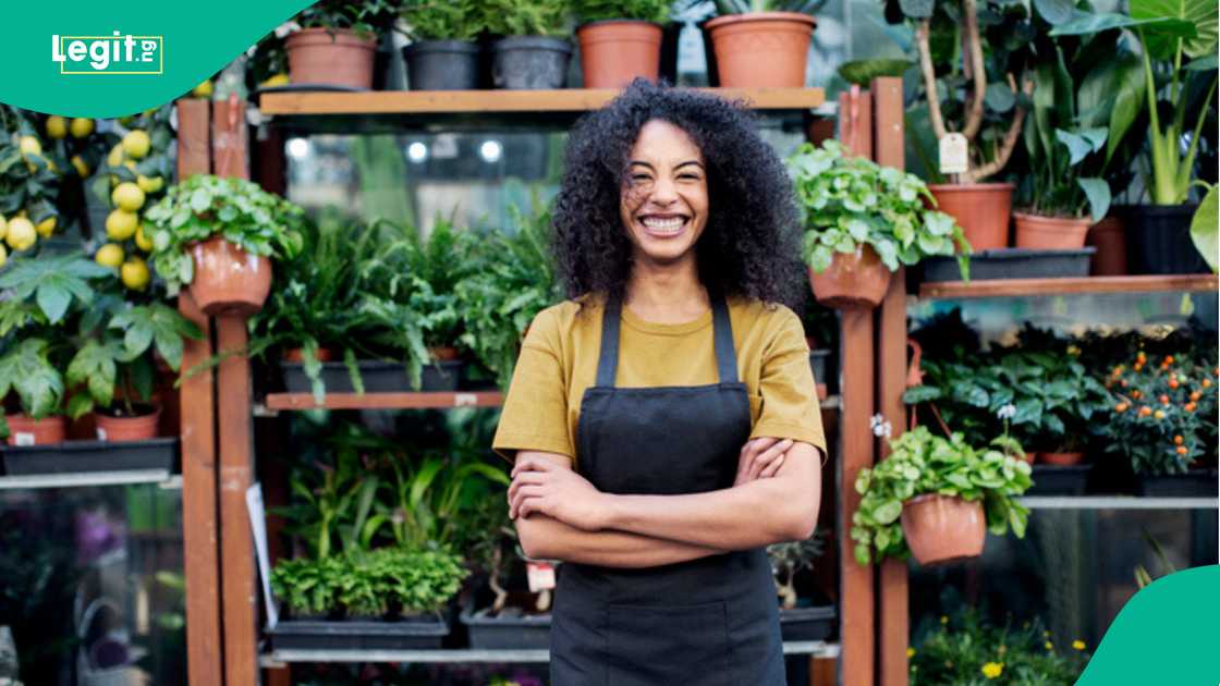 Loan for small businesses Loan for small businesses