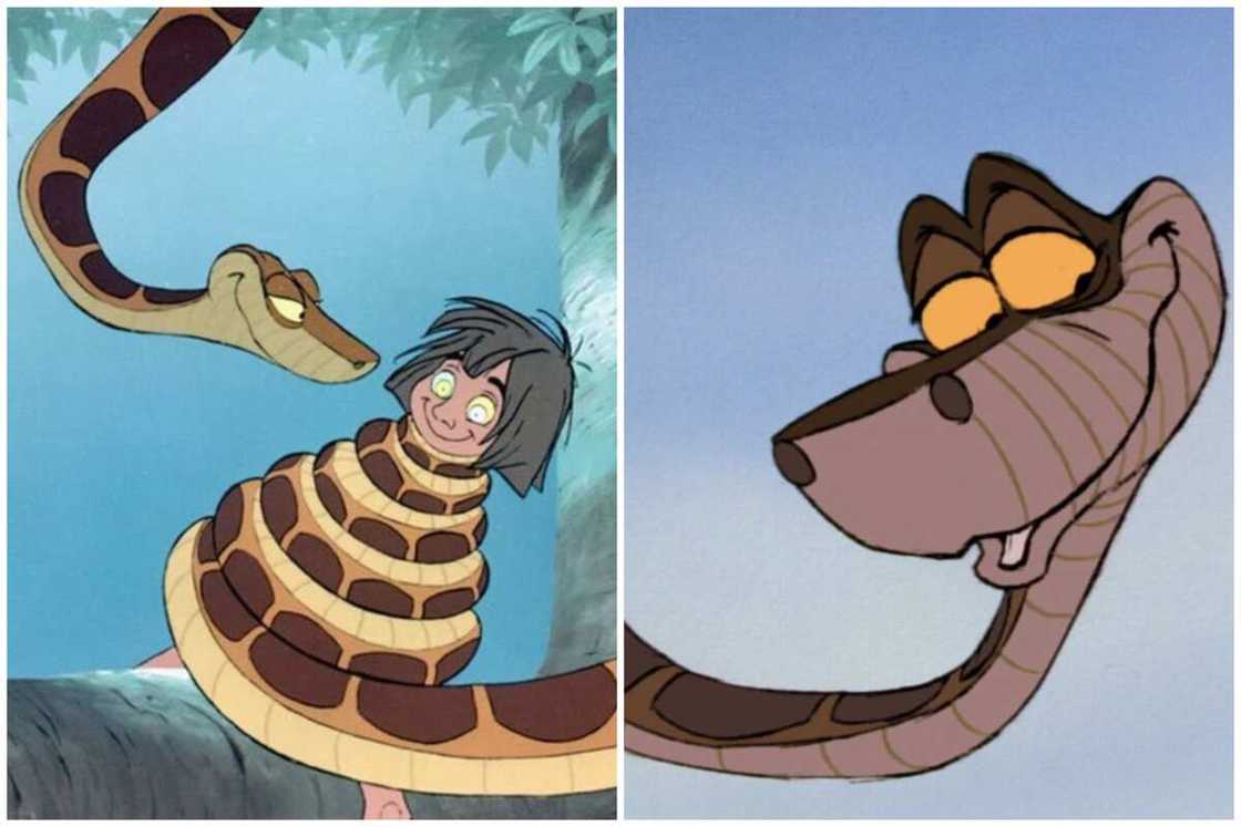 characters in Jungle Book characters in Jungle Book