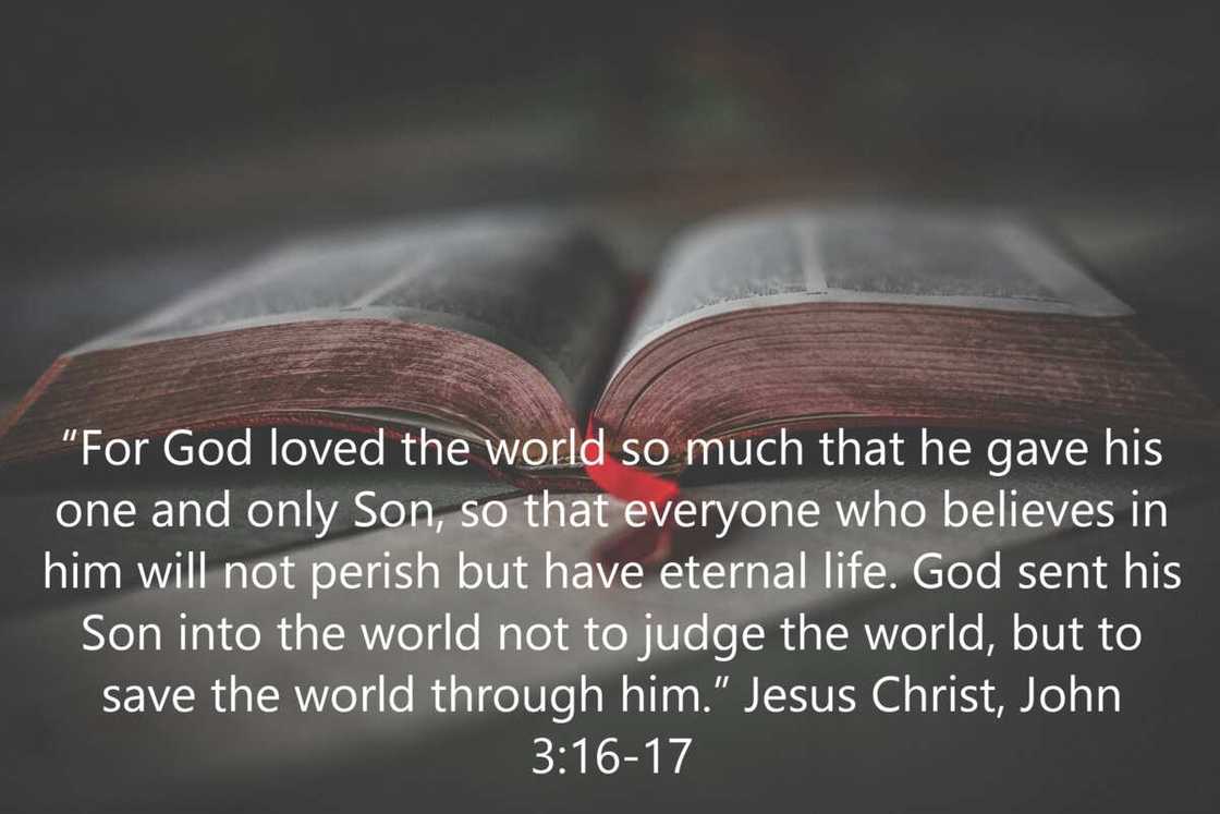 Jesus quotes Jesus quotes