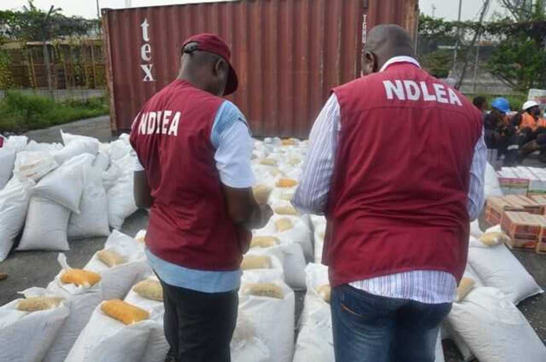NDLEA agents NDLEA agents