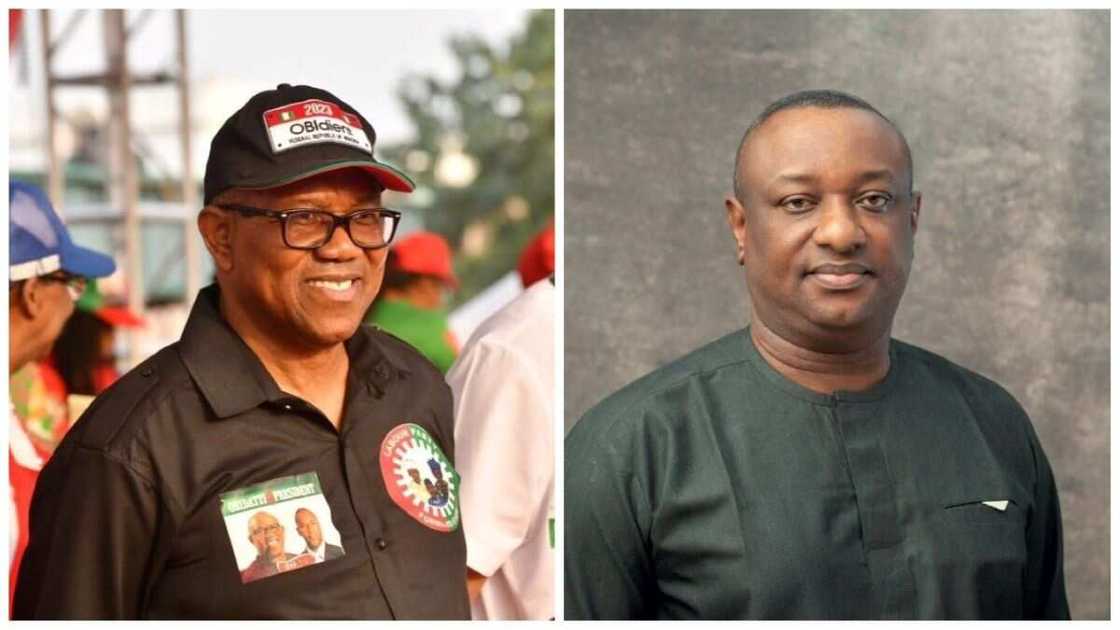 Festus Keyamo, Peter Obi Festus Keyamo, Peter Obi